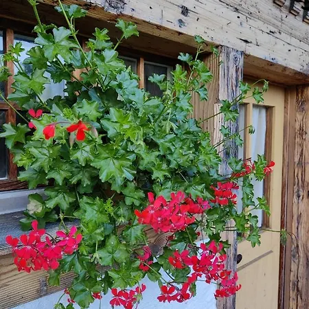 Frangio אינטרלאקן